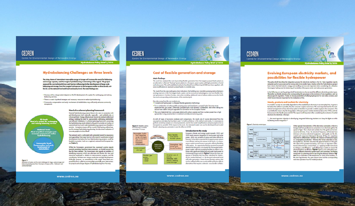 CEDREN has issued three policy briefs that synthesize findings of the HydroBalance research project highlighting the relevance of the research on hydrobalancing to policy and offering recommendations for change.